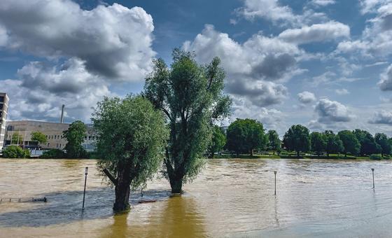 Europa é o continente mais afetado pelo aquecimento global, diz OMM